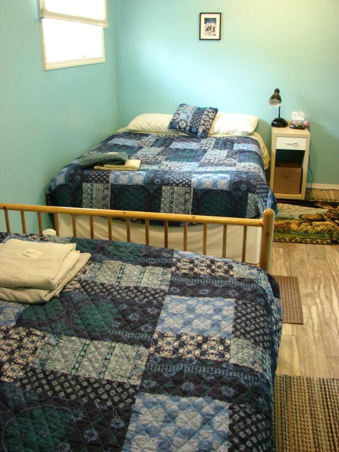 לינה וארוחת בוקר ווייטהורס Wild North Bed & Rest מראה חיצוני תמונה